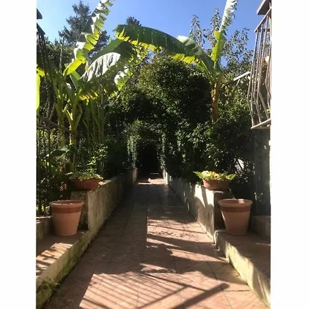 Hébergement de vacances Liberti *